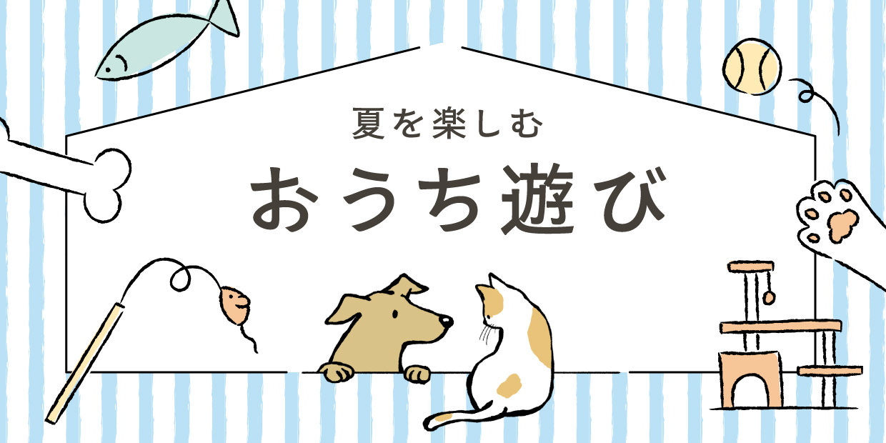 夏を楽しむおうち遊び	