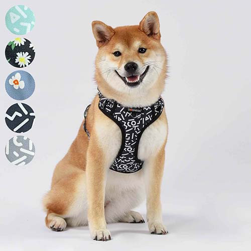 【DOGNESS】ドッグネス　ハーネス　エレガント