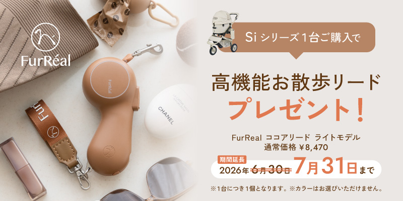 高機能お散歩リードプレゼント
