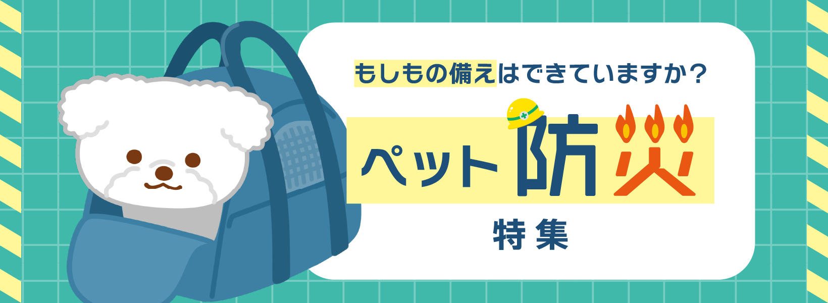 もしもの備えはできていますか?ペット防災特集