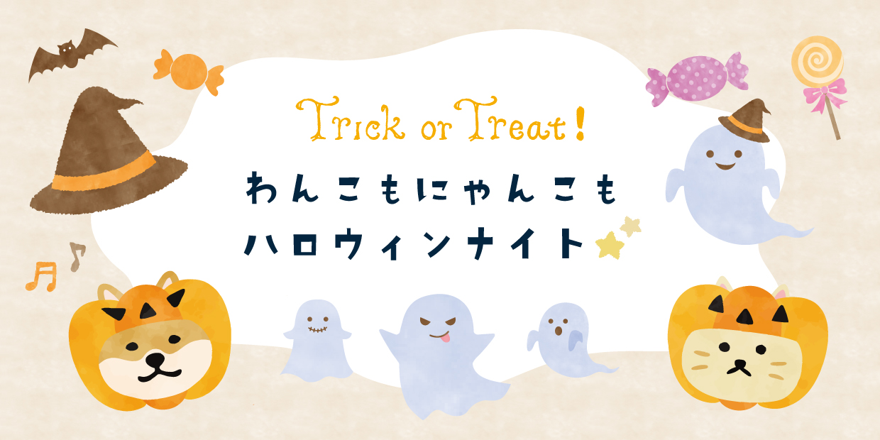 TRICK OR TREAT　わんこもにゃんこもハロウィンナイト☆