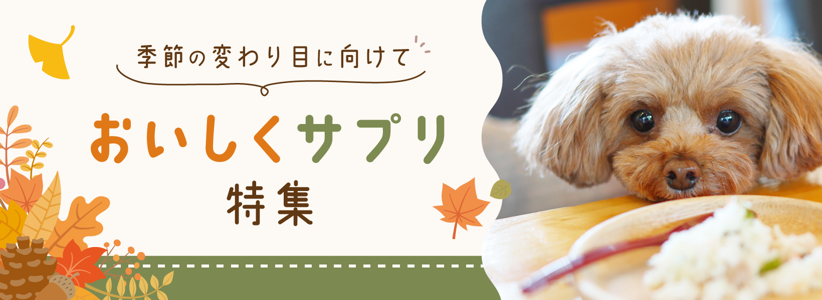 季節の変わり目に向けて　おいしくサプリ特集