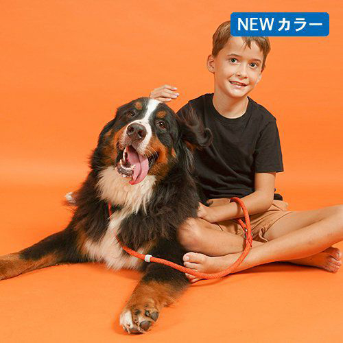 【H5D】Collar and Slip Leash / カラーアンドスリップリード　＜全4色・2サイズ＞［エイチファイブディ］