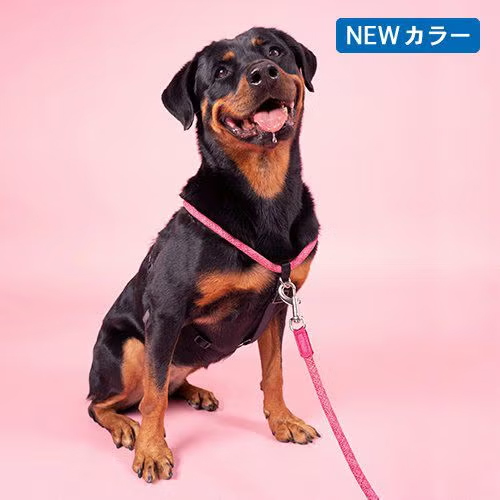 【H5D】Rope Walker Harness / ロープウォーカーハーネス　＜全4色・6サイズ＞［エイチファイブディ］