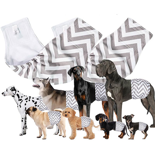 【M-PETS】エムペッツ　洗える男の子用オムツ WASHABLE 2枚入＜全7サイズ＞