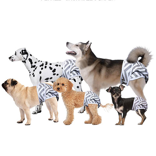 【M-PETS】エムペッツ　洗える女の子用オムツ WASHABLE 2枚入＜全5サイズ＞
