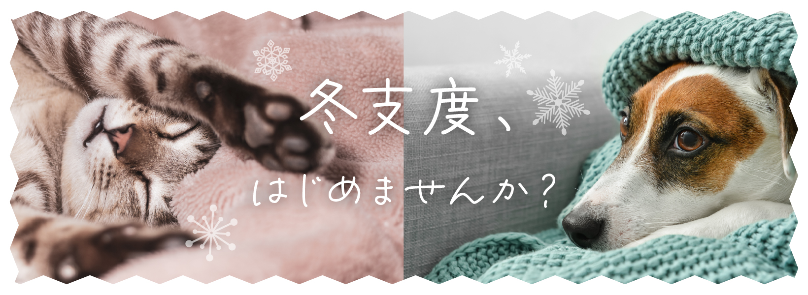 冬支度、はじめませんか?