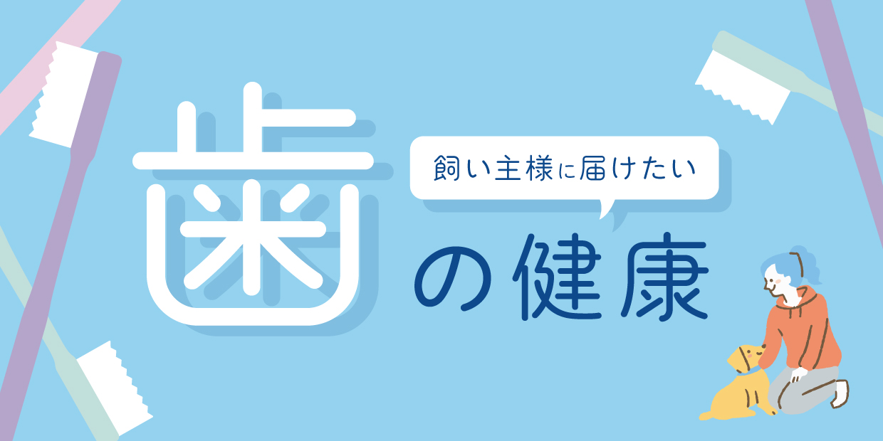 飼い主様に届けたい「歯の健康」