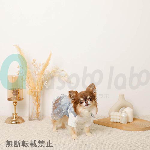 【moncheri】モンシェリ　ドッキングドットチュールワンピース＜全2色＞