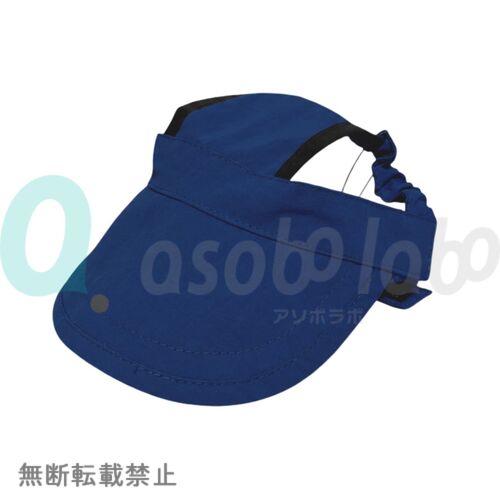 https://asobolabo.jp/wp/wp-content/uploads/2026/09/4580850470056.jpg