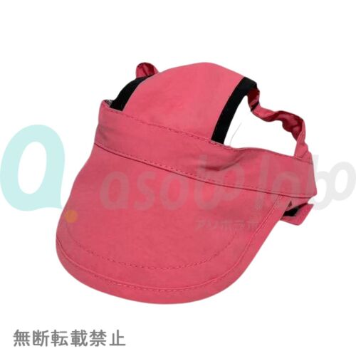 https://asobolabo.jp/wp/wp-content/uploads/2026/09/4580850470063.jpg