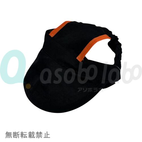 https://asobolabo.jp/wp/wp-content/uploads/2026/09/4580850470643.jpg