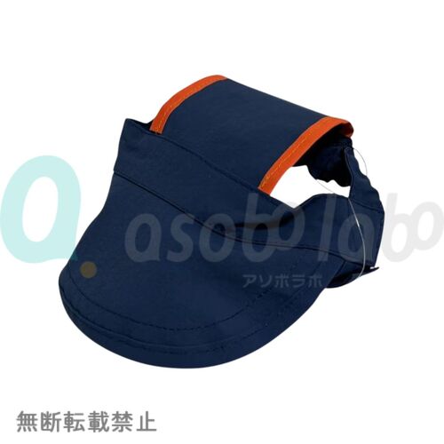 https://asobolabo.jp/wp/wp-content/uploads/2026/09/4580850470667.jpg