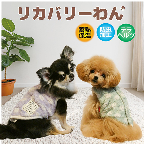 【Coo Couture】クークチュール　テラマカロンドットベルクロタンク