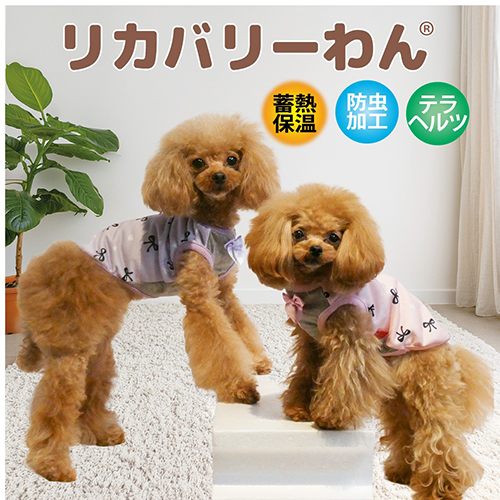【Coo Couture】クークチュール　ヒートテラリボンキャンディタンク