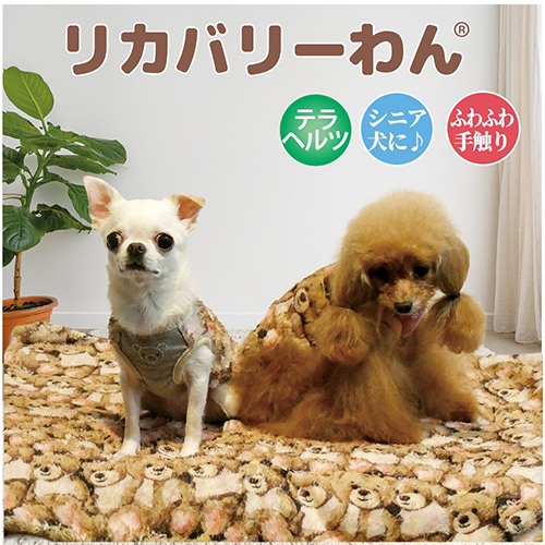 【Coo Couture】クークチュール　テラブローイングベアブランケット