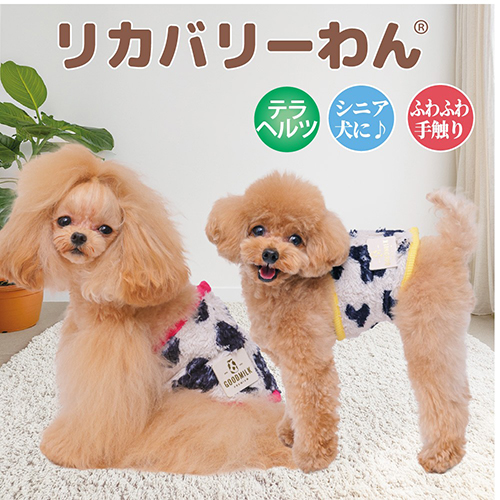 【Coo Couture】クークチュール　テラMOUMOUベルクロバンド
