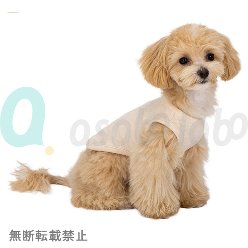 【MANDARINE BROTHERS】PUPPY'S FIRST T-SHIRT / マンダリンブラザーズ　パピーズファーストTシャツ