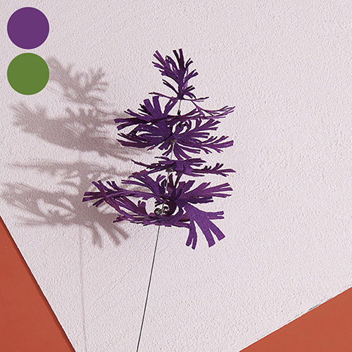 purrre Umbrella Pine